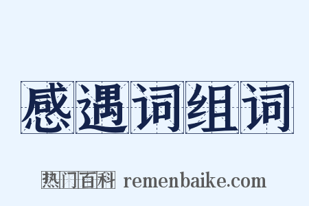 感遇词组词是什么意思的图片